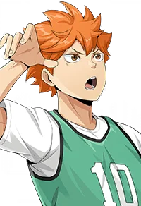 Shoyo Hinata (Practice)