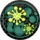 Mold Infestation