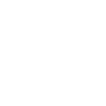 Disrupter