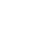 Dynamic World